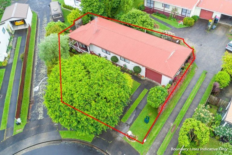 Photo of property in 17 Rigter Place, Enderley, Hamilton, 3214