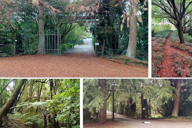 Photo of property in 480b Youngson Road, Whakamarama, 3179