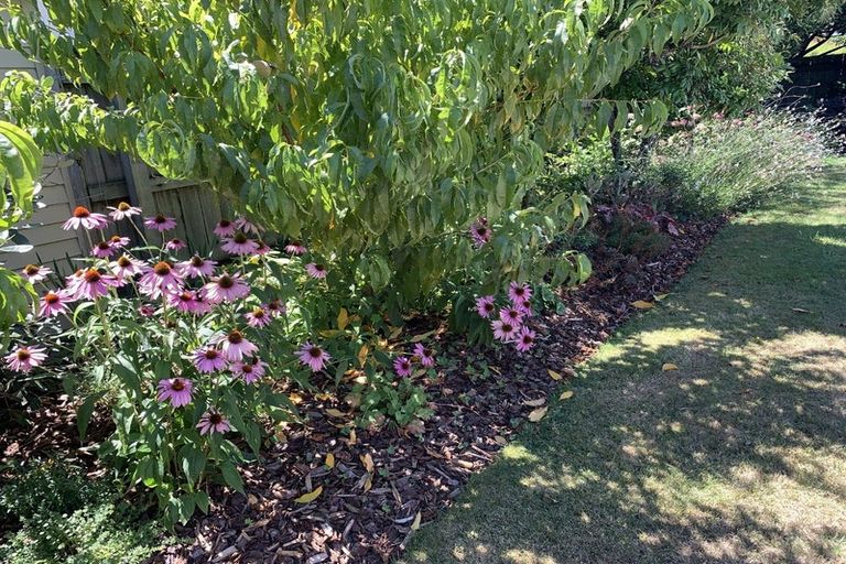 Photo of property in 8b Wensley Road, Richmond, 7020