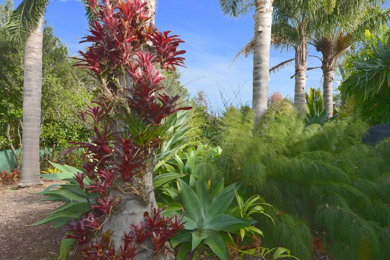 Photo of property in 17 Karaka Drive, Kerikeri, 0230