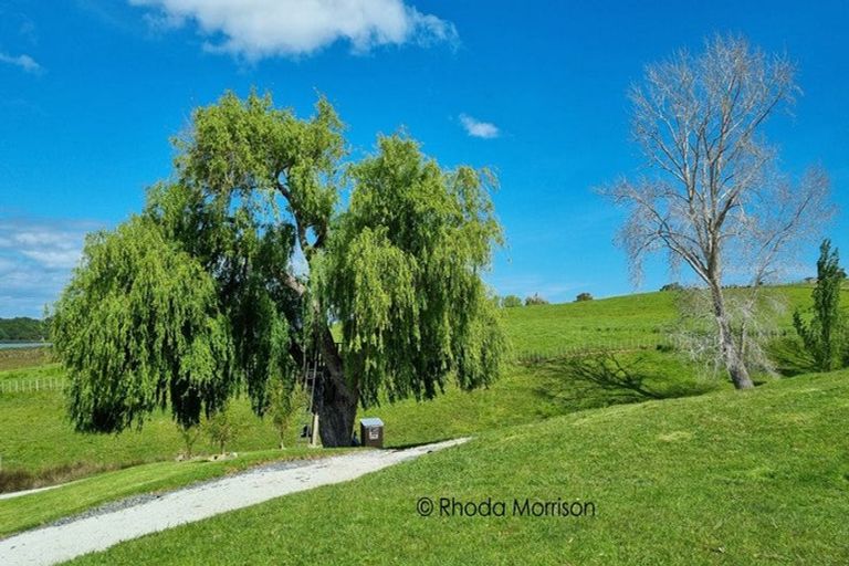 Photo of property in 41 Minnie Casey Rise, Matakohe, 0593