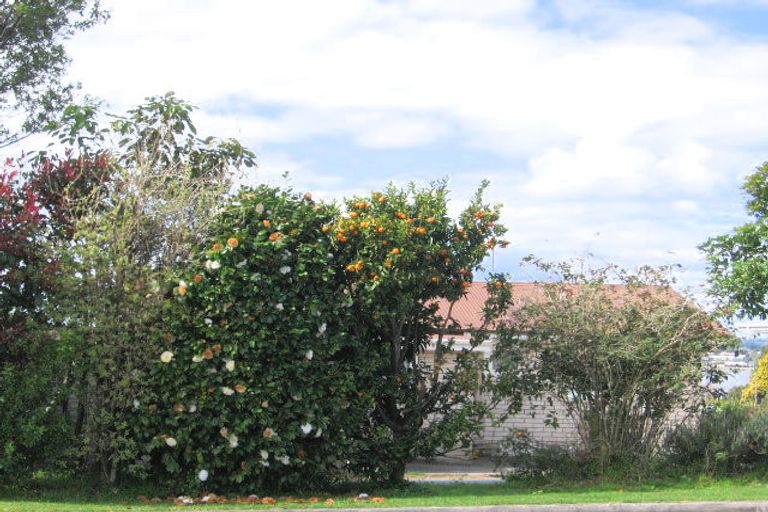 Photo of property in 22 Claremont Terrace, Otumoetai, Tauranga, 3110