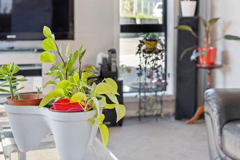 Photo of property in 15 Waikaka Place, Rototuna North, Hamilton, 3210