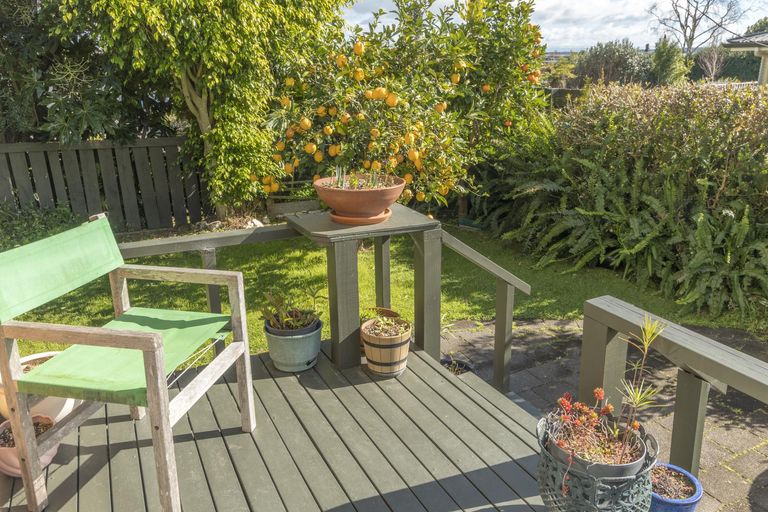 Photo of property in 3 Hunter Way, Otumoetai, Tauranga, 3110