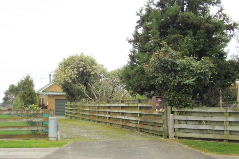 Photo of property in 14 Ryder Crescent, Levin, 5510