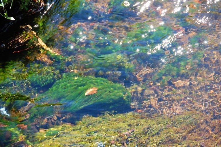 Photo of property in 8/133 Matapuna Road, Horopito, Raetihi, 4696