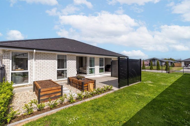 Photo of property in 41 Hinerangi Crescent, Matamata, 3400