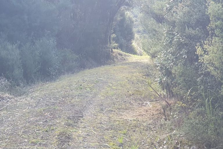 Photo of property in 457 Tuateawa Road, Tuateawa, Coromandel, 3583