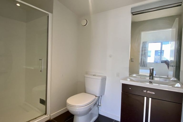 Photo of property in The Altair, 51/120 Rintoul Street, Newtown, Wellington, 6021