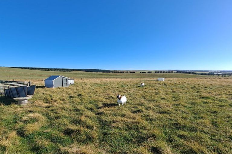 Photo of property in 583 Coast Road, Toko Mouth, Kaitangata, 9282