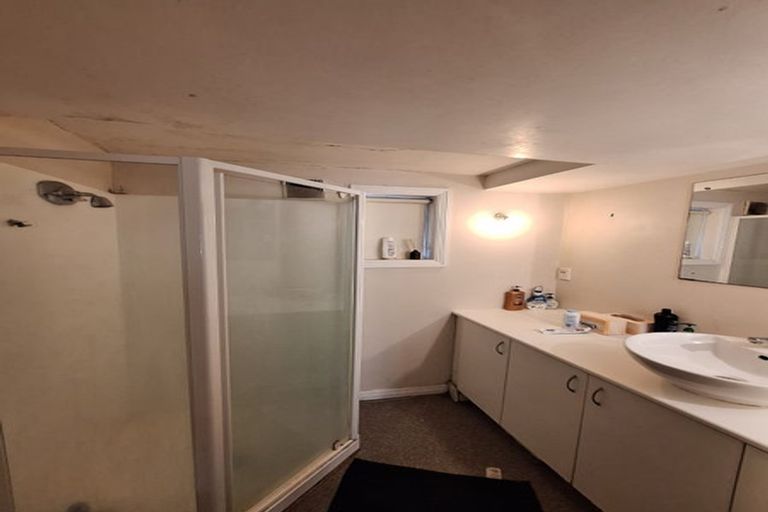 Photo of property in 35 Alexander Street, Kingsland, Auckland, 1021