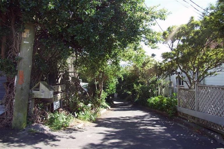 Photo of property in 38 Colombo Street, Newtown, Wellington, 6021