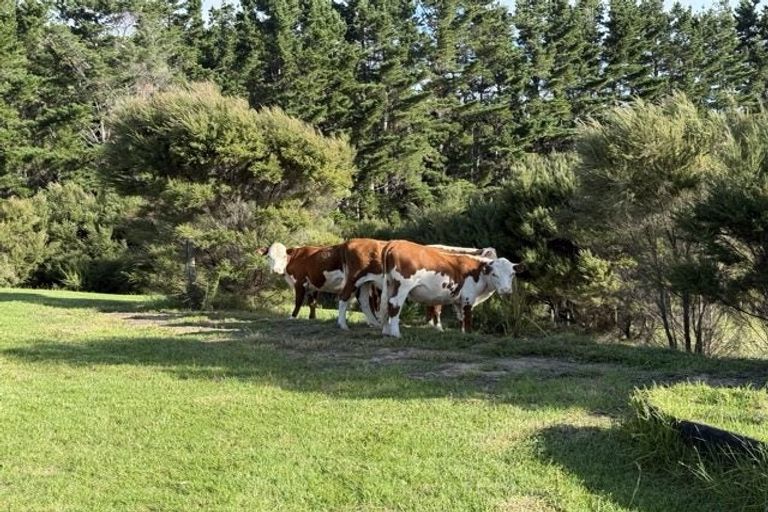 Photo of property in 212c Whalers Road, Pukenui, Kaitaia, 0484