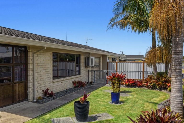 Photo of property in 25 Victoria Avenue, Whakatane, 3120