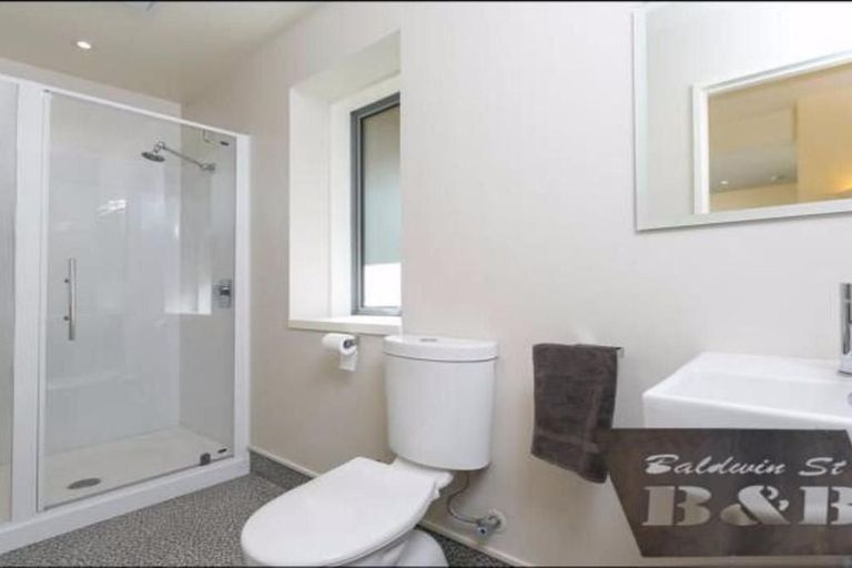 Photo of property in 46 Baldwin Street, North East Valley, Dunedin, 9010