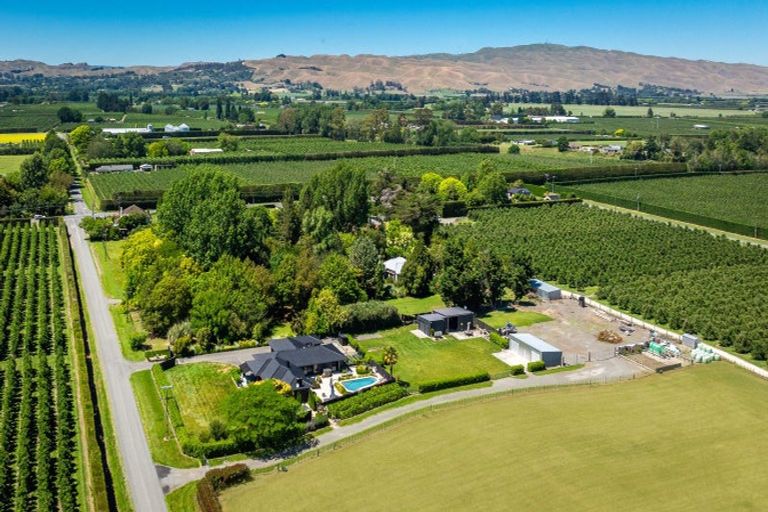 Photo of property in 77 Algernon Road, Longlands, Hastings, 4172