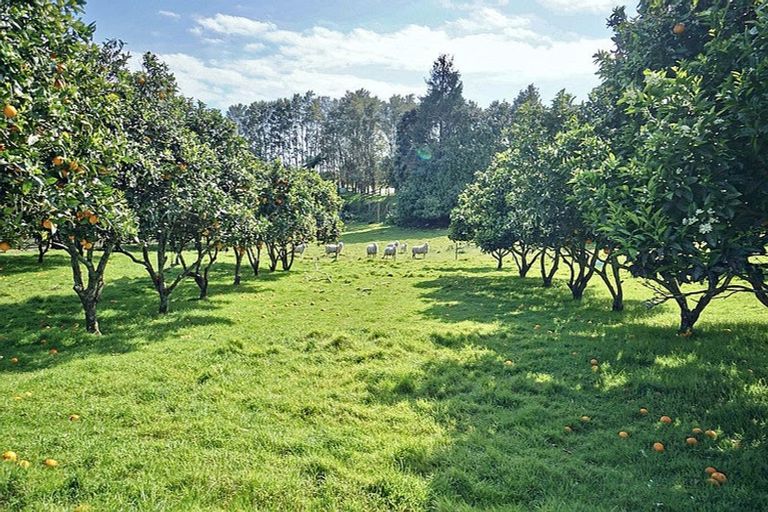 Photo of property in 703 Old Coach Road, Pongakawa, Te Puke, 3186