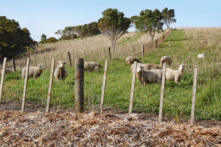 Photo of property in 598a Oneriri Road, Kaiwaka, 0573