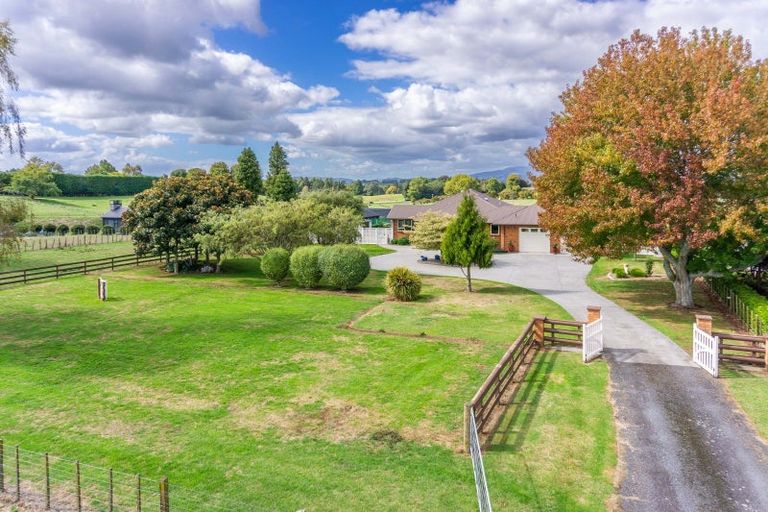 Photo of property in 69 Saint Leger Road, Te Awamutu, 3875