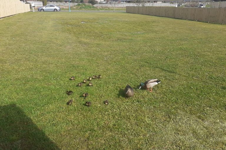 Photo of property in 5 Oakland Place, Ngongotaha, Rotorua, 3010