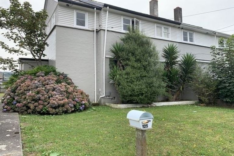 Photo of property in 125 Oxford Terrace, Epuni, Lower Hutt, 5011