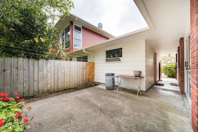 Photo of property in 45 Dittmer Drive, Awapuni, Palmerston North, 4412