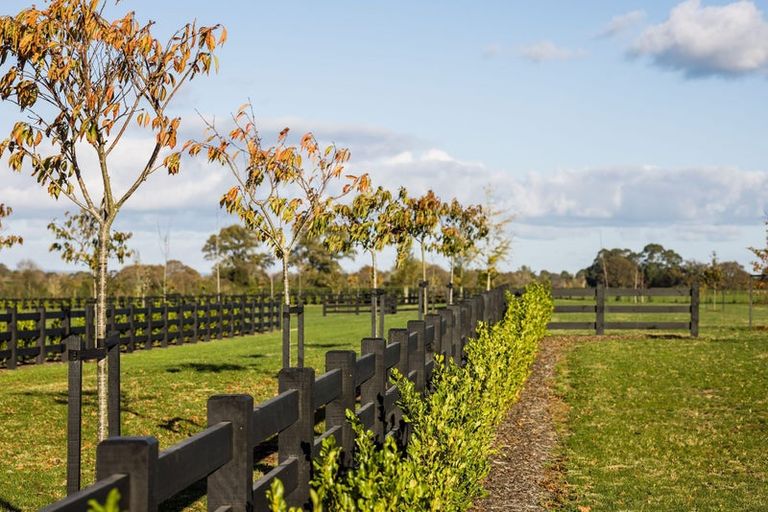 Photo of property in 18 Orchard Place, Matamata, 3472