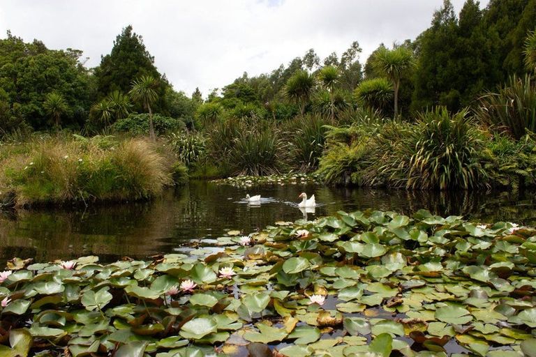 Photo of property in 828 Dover Road, Okato, New Plymouth, 4374