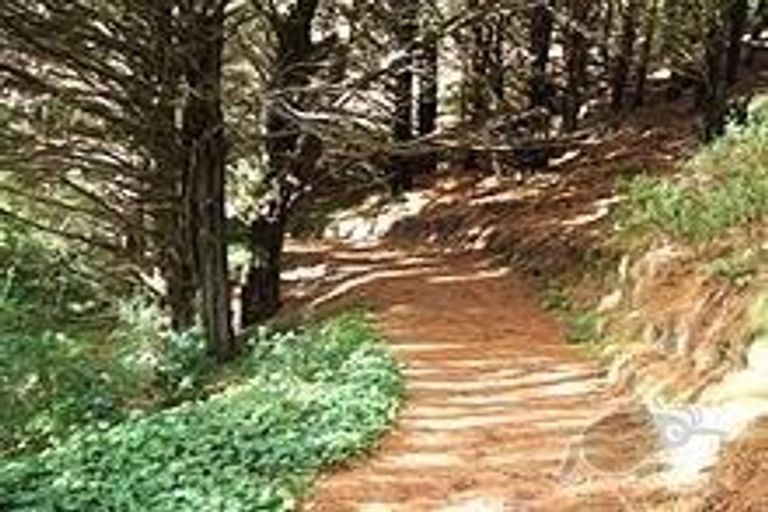 Photo of property in Embassy Court, 72 Brougham Street, Mount Victoria, Wellington, 6011