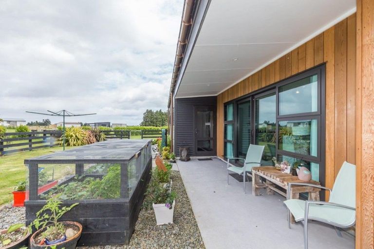 Photo of property in 126 Gladstone Road, Levin, 5571