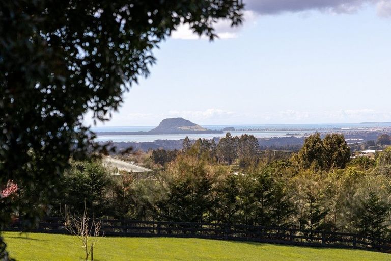 Photo of property in 727 Esdaile Road, Whakamarama, Tauranga, 3180