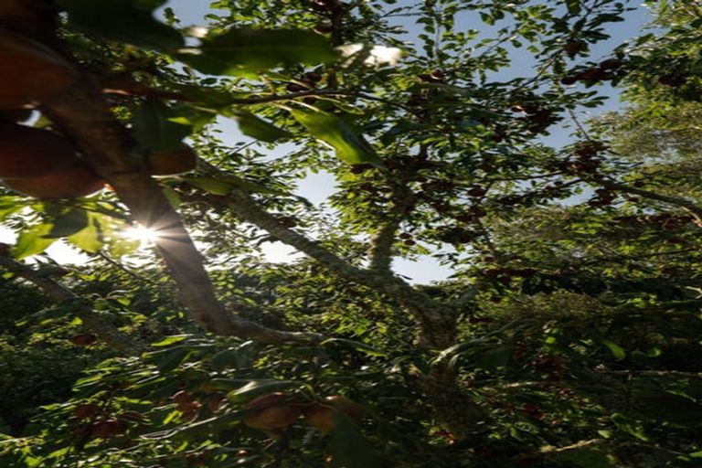 Photo of property in 10a Bridgman Lane, Tanners Point, Katikati, 3177