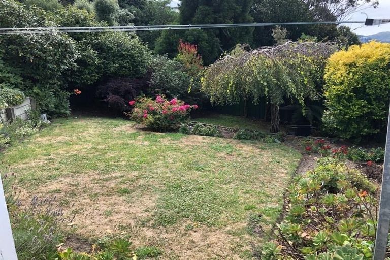 Photo of property in 20 Carrington Street, Mount Cook, Wellington, 6021