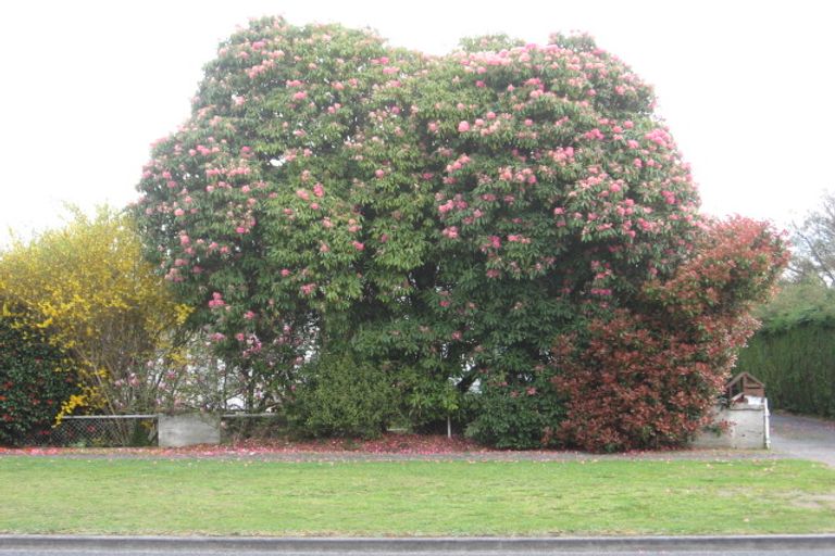 Photo of property in 79 Kaimanawa Street, Taupo, 3330