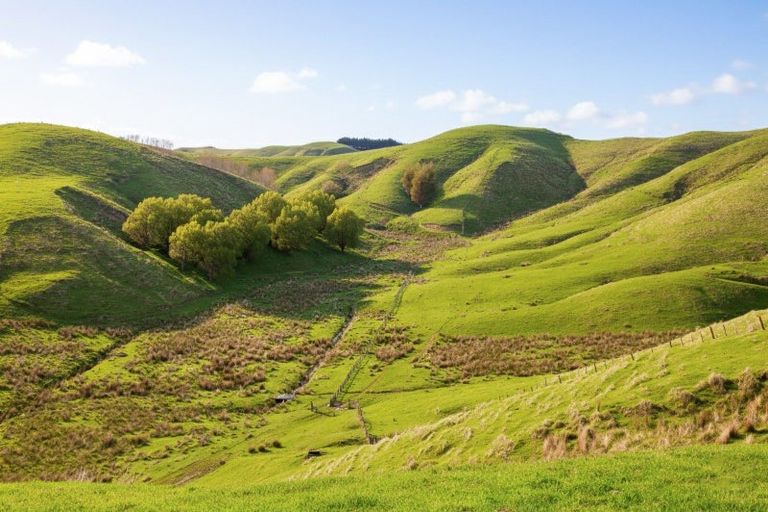 Photo of property in 390 North Road, North East Valley, Dunedin, 9010