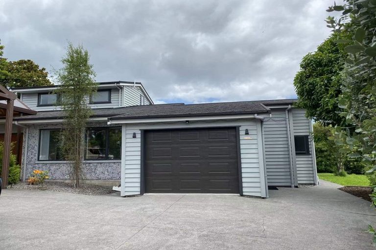 Photo of property in 65 Kennedy Avenue, Forrest Hill, Auckland, 0620