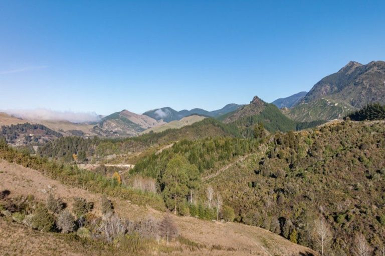 Photo of property in 168 Graham Valley Road, Motueka Valley, Motueka, 7196