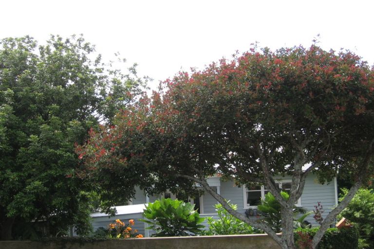 Photo of property in 45 Allendale Road, Mount Albert, Auckland, 1025