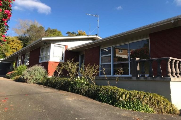 Photo of property in 67 Casey Avenue, Fairfield, Hamilton, 3214