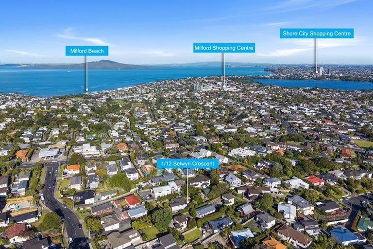 Photo of property in 1/12 Selwyn Crescent, Forrest Hill, Auckland, 0620