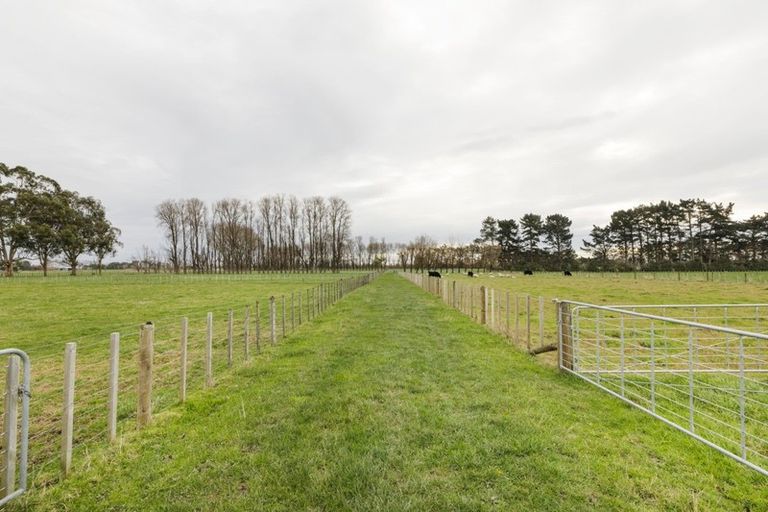 Photo of property in 84 Oroua Road, Kairanga, Palmerston North, 4475