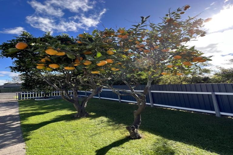 Photo of property in 39 Mclean Street, Wairoa, 4108