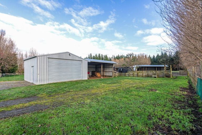 Photo of property in 334 Mount Biggs Road, Halcombe, Feilding, 4779