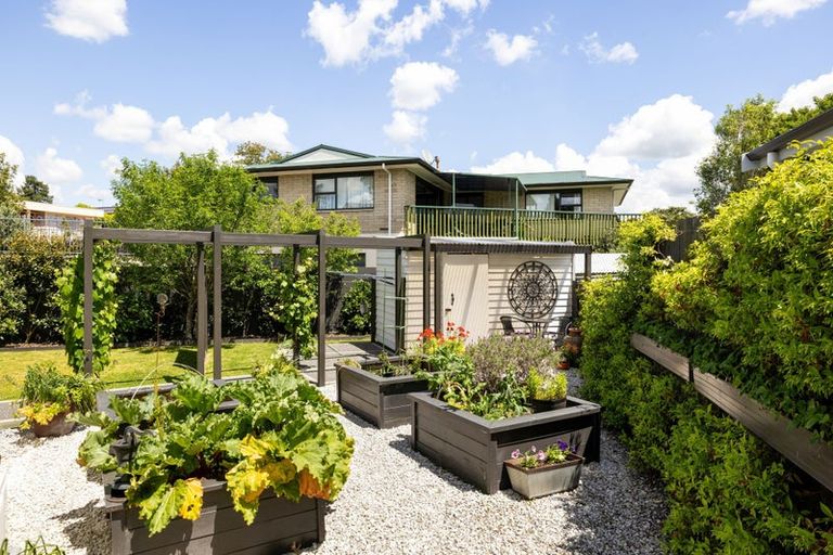 Photo of property in 163 Lake Crescent, Hamilton Lake, Hamilton, 3204