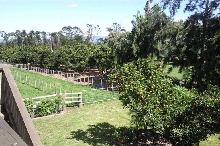 Photo of property in 397 Plummers Point Road, Whakamarama, Tauranga, 3172