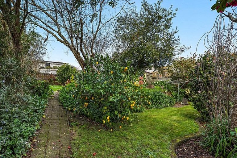 Photo of property in 12 Thomson Avenue, Dinsdale, Hamilton, 3204