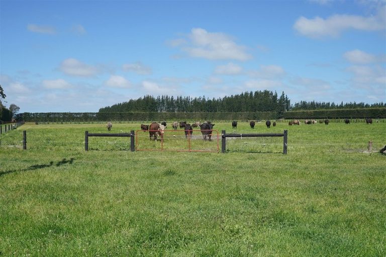 Photo of property in 2489 Tram Road, West Eyreton, 7475