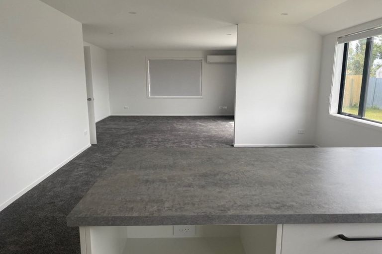 Photo of property in 103a Trevors Road, Hampstead, Ashburton, 7700