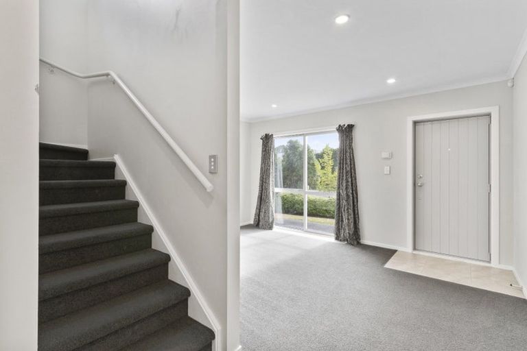 Photo of property in 51 Tennille Street, Flagstaff, Hamilton, 3210