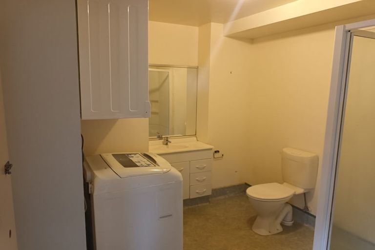 Photo of property in Palm Grove Apartments, 8/13d Palm Grove, Berhampore, Wellington, 6023